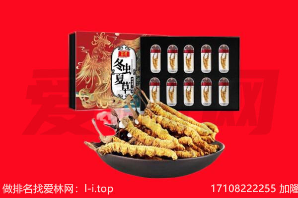 金华市义乌回收虫草.jpg